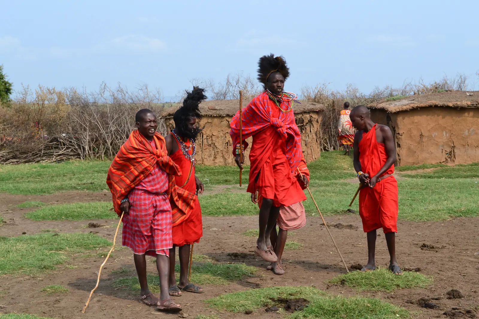 Maasai men in red shukas performing the adumu jumping dance